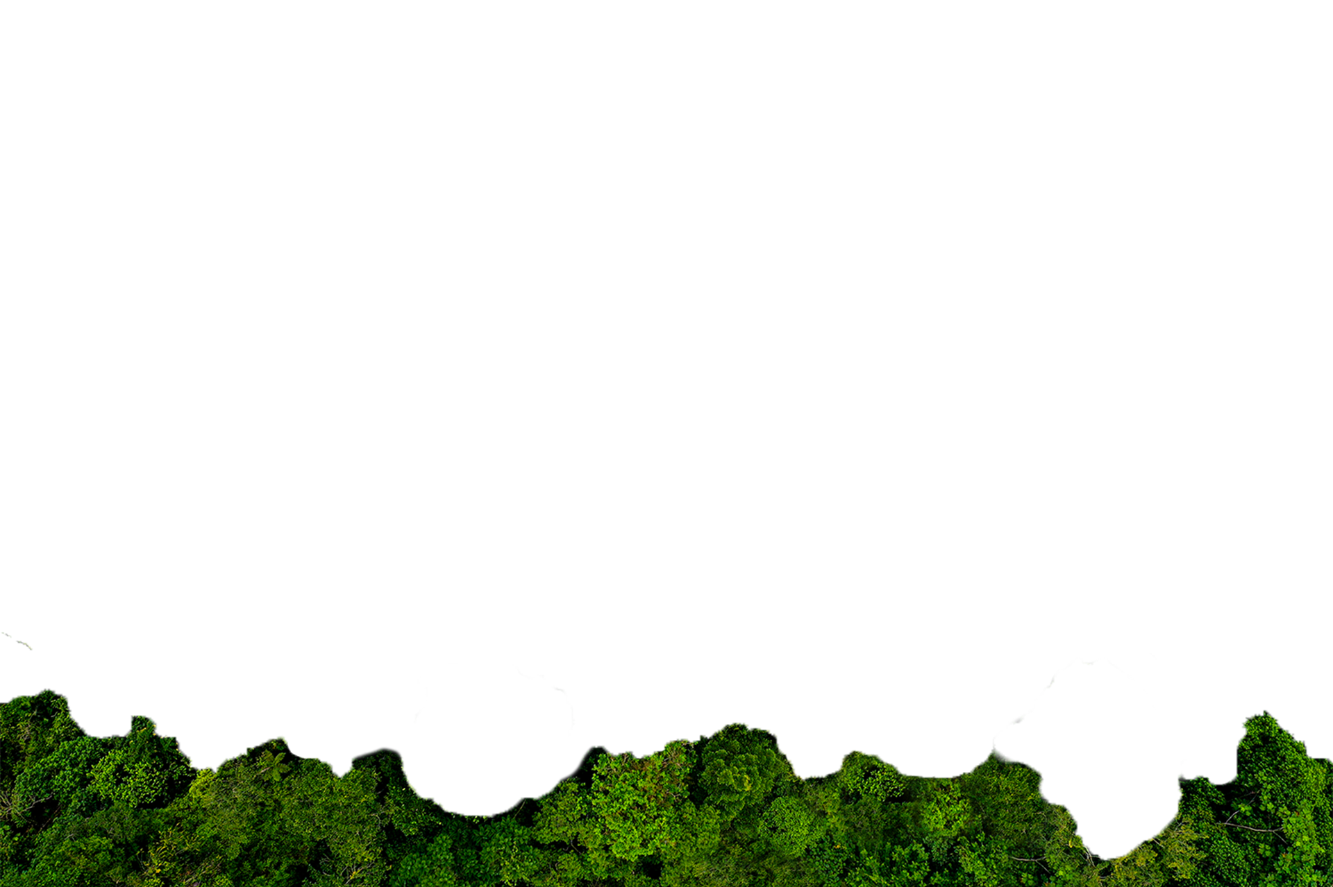 Green Website – Baumreihe im Vordergrund